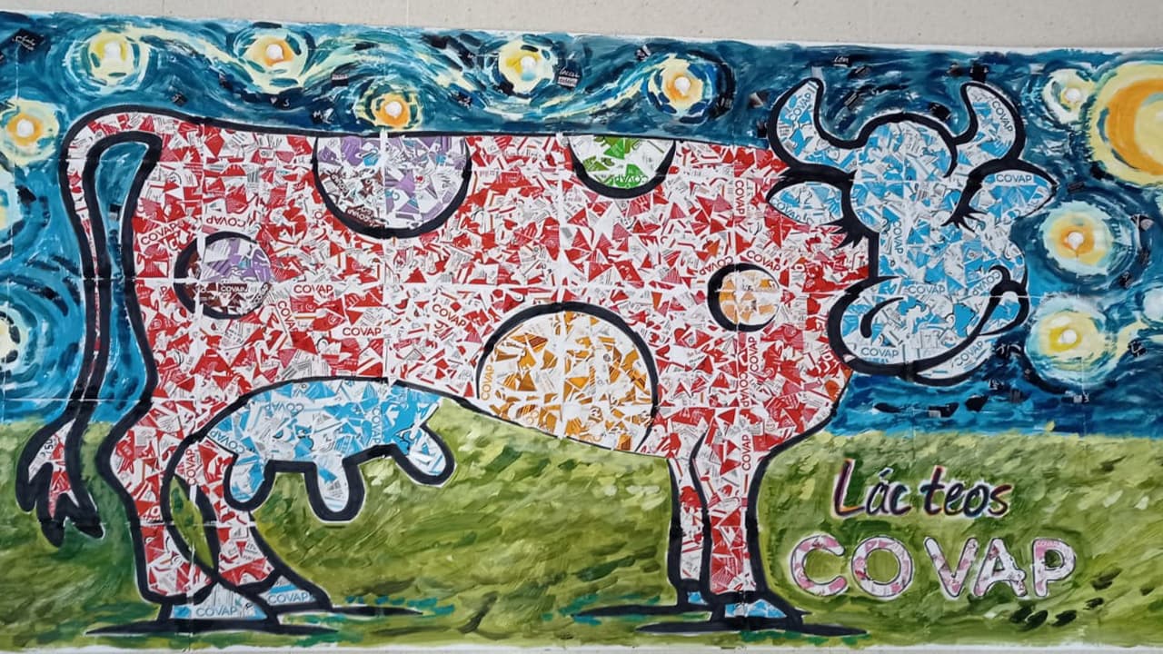 proyecto-Colegio Salesiano San José (Pozoblanco, Córdoba)